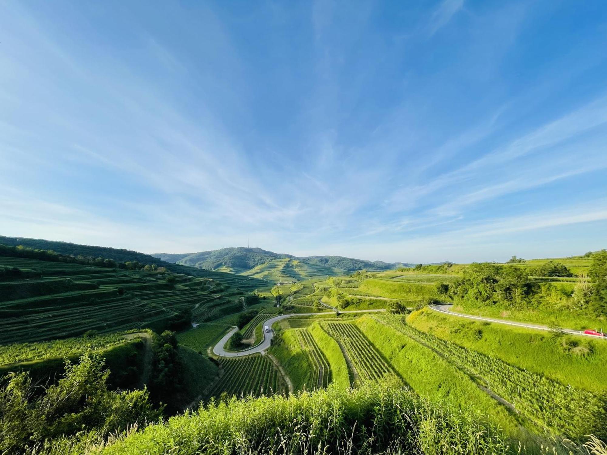 Lp Haus Der Guten Dinge Vogtsburg Dış mekan fotoğraf
