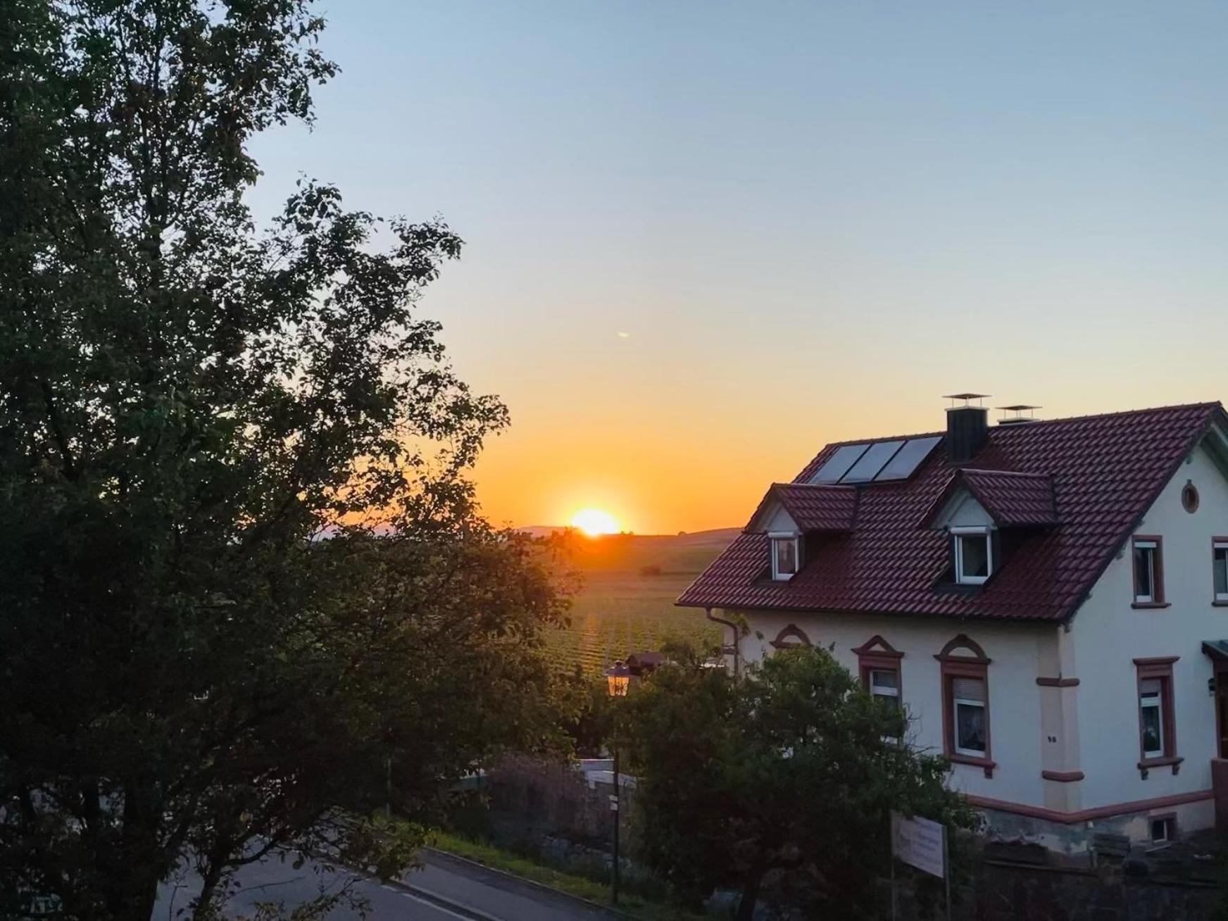 Lp Haus Der Guten Dinge Vogtsburg Dış mekan fotoğraf