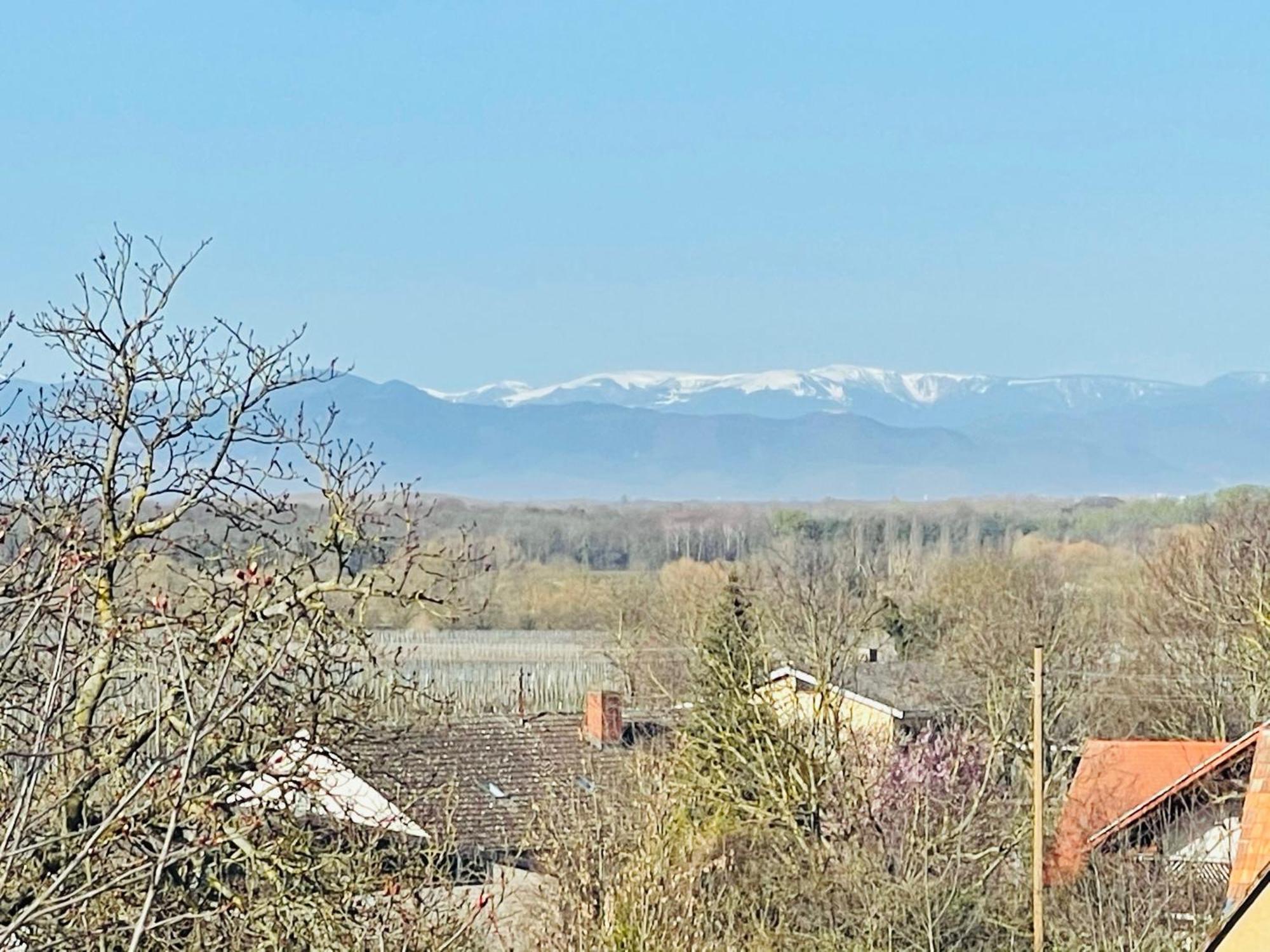 Lp Haus Der Guten Dinge Vogtsburg Dış mekan fotoğraf